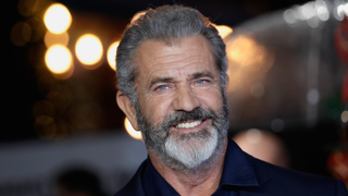 Mel Gibson and Charlie Hunnam find <i>Waldo</i>, but not the famous Waldo<em></em>